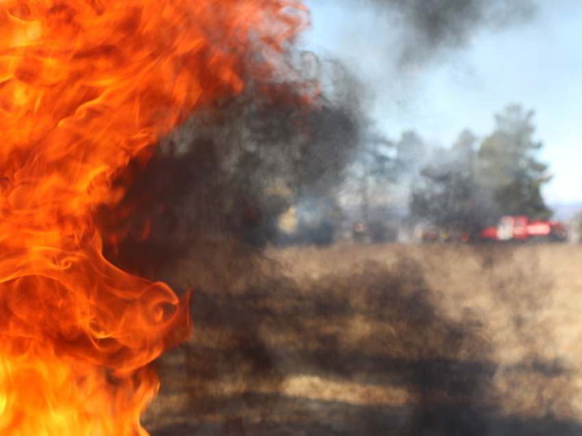 Пожарные просят забайкальцев помочь остановить тех, кто сжигает сухую траву